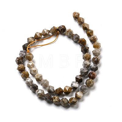 Natural Gobi Agate Beads Strands G-NH0012-B03-01-1