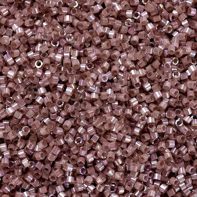 MIYUKI Delica Beads X-SEED-J020-DB1879-1