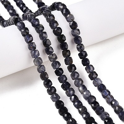 Natural Iolite Beads Strands G-N342-112A-1