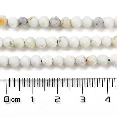 Natural Green Opal Beads Strands G-Z035-A02-03D-1