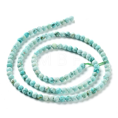 Natural Peruvian Turquoise(Jasper) Beads Strands G-J401-A01-01-1