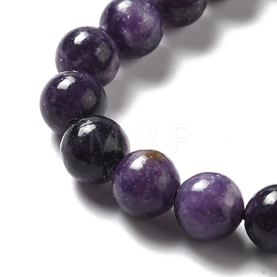 Natural Lepidolite/Purple Mica Stone Beads Strands G-B029-B03-03-1