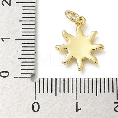 Rack Plating Brass Enamel Charms KK-K392-50G-02-1