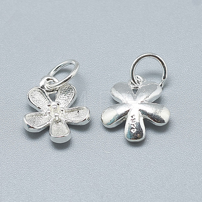 925 Sterling Silver Charms STER-T002-63S-1
