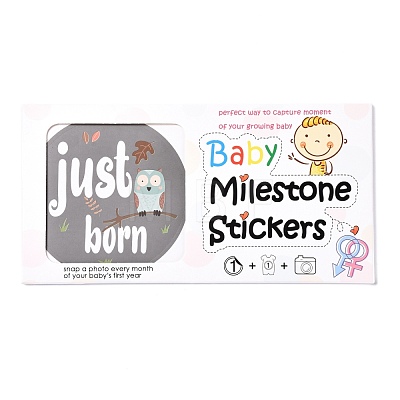 Newborn Monthly Milestone Stickers DIY-H127-B16-1