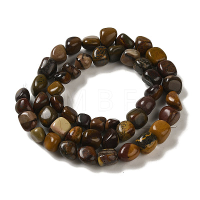 Natural Petrified Wood Beads Strands G-B078-D18-01-1