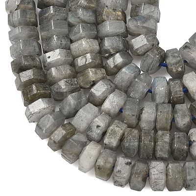 Natural Labradorite Beads Strands G-L654-I05-01-1