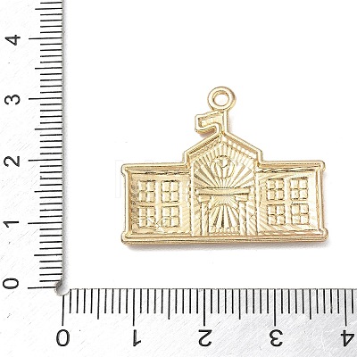 Alloy with Enamel Pendants AL-CBAE84A-02F-02-1