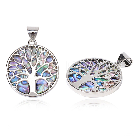 Resin Imitation Paua Shell/Abalone Shell Pendants RESI-S376-24-1