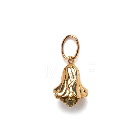 Ion Plating(IP) Brass Micro Pave Cubic Zirconia Pendants PW-WG53304-08-1