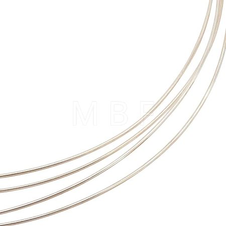 1Pc 999 Fine Silver Wire STER-BC0001-66B-1