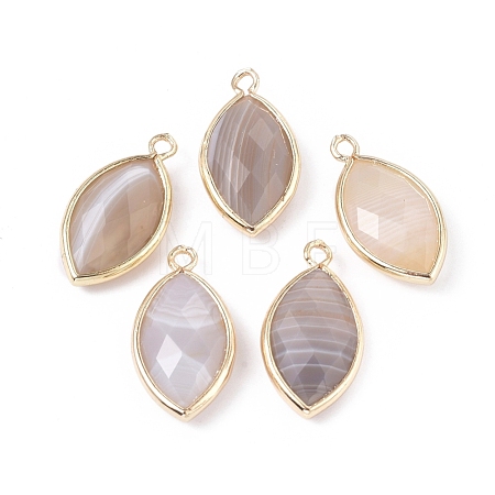 Natural Botswana Agate Pendants G-L514-023E-1