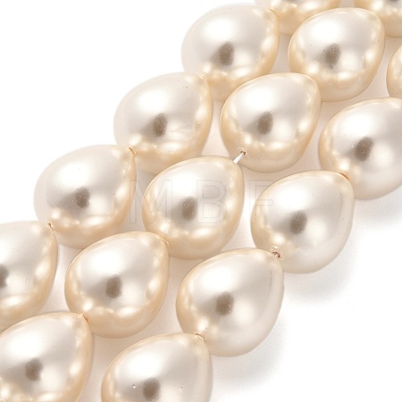 Electroplate Shell Pearl Beads Strands BSHE-G010-16x20mm-01-1