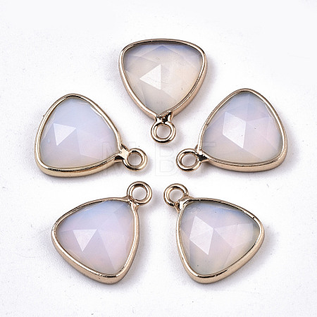 Opalite Charms G-N326-48F-1
