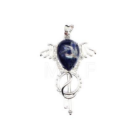 Natural Sodalite Teardrop Pendants PW-WG60016-05-1