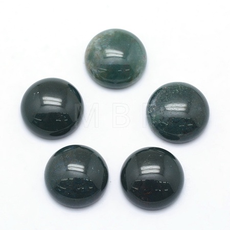 Natural Moss Agate Cabochons X-G-P393-R28-12mm-1