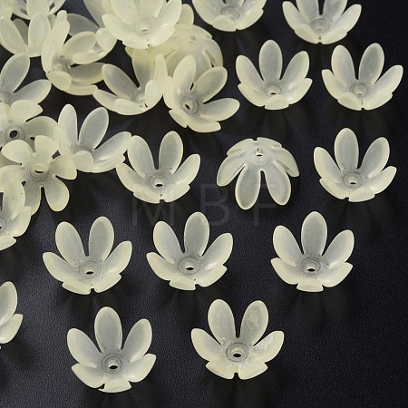 Transparent Acrylic Beads MACR-S373-47-D03-1