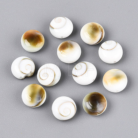 Natural Shiva Eye Shell Beads BSHE-T014-33A-1