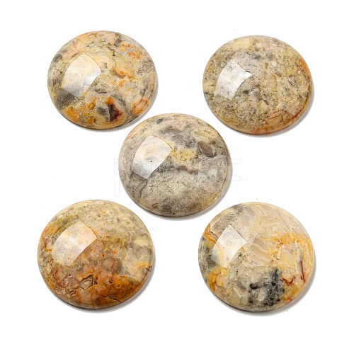 Natural Crazy Agate Cabochons G-C115-02B-23-1