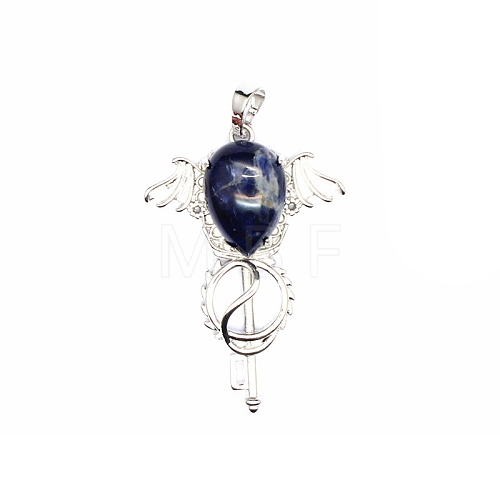 Natural Sodalite Teardrop Pendants PW-WG60016-05-1