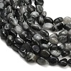 Natural Eagle Eye Stone Beads Strands G-D108-A02-03-3