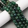 Natural Fuchsite Beads Strands G-D470-12B-1-2