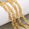 Natural Citrine Beads Strands G-O049-B-29A-2