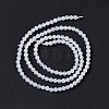 Natural White Agate Beads Strands G-C247-03-4