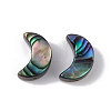 Natural Abalone Shell/Paua Shell Beads SSHEL-M021-05-2