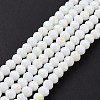 Electroplate Opaque Solid Color Glass Beads Strands LS-EGLA-A034-P6mm-L17-2