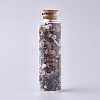 Glass Wishing Bottle DJEW-L013-A20-1