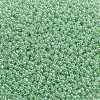 TOHO 11/0 Round Beads SEED-TR11-0144-2