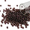 TOHO 6/0 Round Beads SEED-XTR06-0026C-1