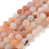 Natural Red Agate Beads Strands G-A248-A03-01-2