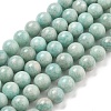 Natural Amazonite Beads Strands G-L618-A01-10mm-2