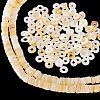  2 Strands Shell Beads Strands SSHEL-NB0001-29-7