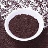 MIYUKI Delica Beads SEED-J020-DB1134-2