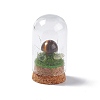 Natural Tiger Eye Mushroom Display Decoration with Glass Dome Cloche Cover G-E588-03F-2