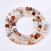 Natural Flower Agate Beads Strands G-S359-237-2