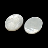 Carved Natural White Shell Cabochons SSHEL-N038-08C-04-2