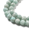 Natural Amazonite Beads Strands G-L618-A01-6mm-4