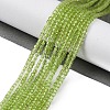 Natural Peridot Beads Stands G-H042-B31-01-2