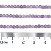 Natural Amethyst Beads Strands G-C127-A03-04-4