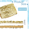 Polyester with Paillette Lace Trim Ribbon OCOR-WH0101-90E-2