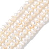 Natural Cultured Freshwater Pearl Beads Strands PEAR-I007-07G-01C-2