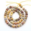 Frosted Natural Crazy Lace Agate Round Bead Strands X-G-M063-6mm-02-2