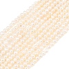 Natural Cultured Freshwater Pearl Beads Strands PEAR-D003-01C-01-2