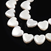 Natural Freshwater Shell Beads Strands SHEL-N026-220B-3