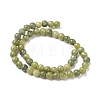Natural Xinyi Jade/Chinese Southern Jade Beads Strands G-K287-20-8mm-2