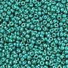 MIYUKI Round Rocailles Beads SEED-G007-RR5106-2